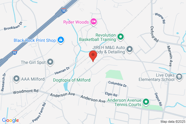 Diversified Manufacturing Services Inc