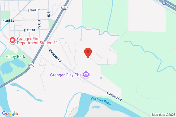 Shearer Douglas W MD