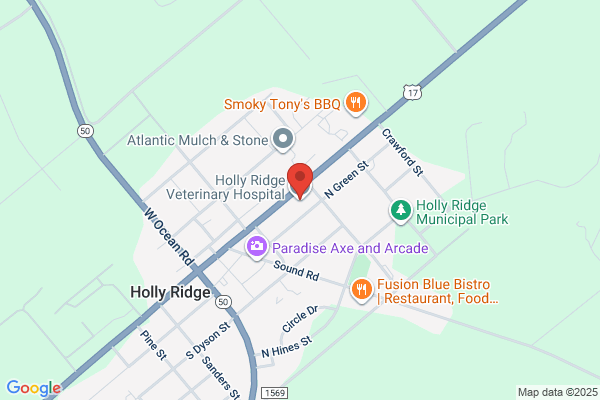 Holly Ridge Veterinary Hospital