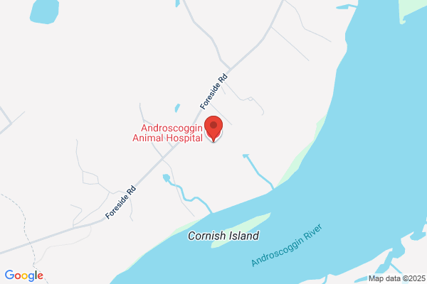 Androscoggin Animal Hospital