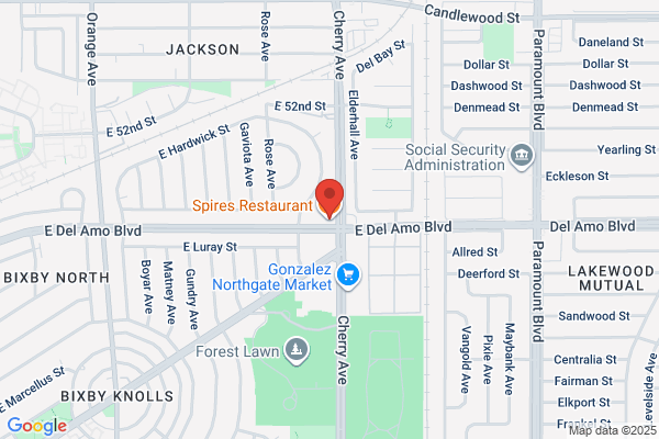 Spire's Restaurant Inc