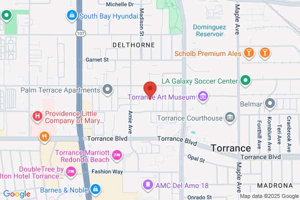 Torrance University