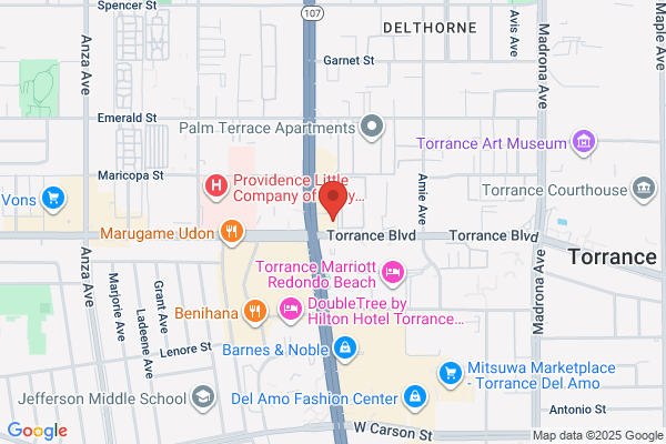 Torrance Computer Service