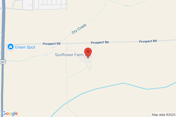 Sunflower Farms