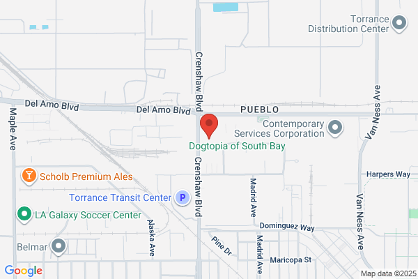 Star View Community Services