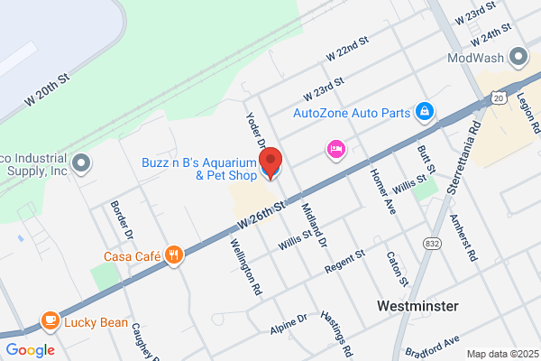 Buzzs Pet Center