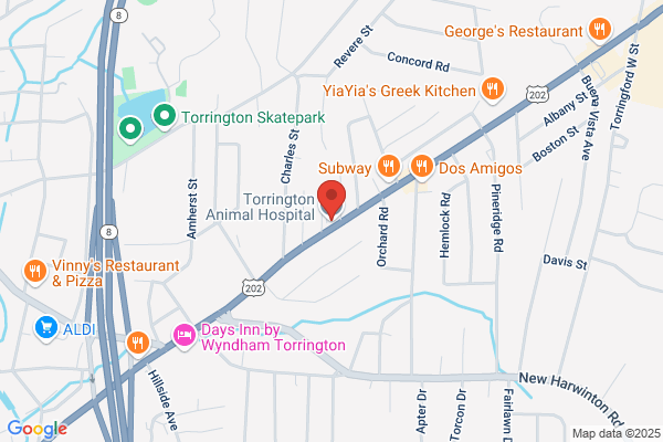 Torrington Animal Hosp
