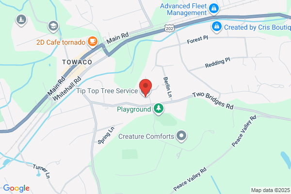 Tip Top Tree Service