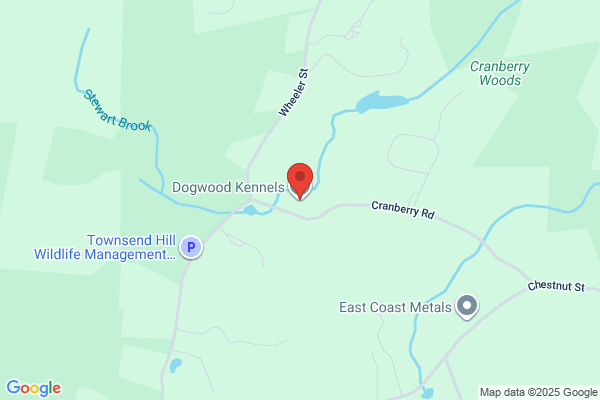 Dayglyn Kennels