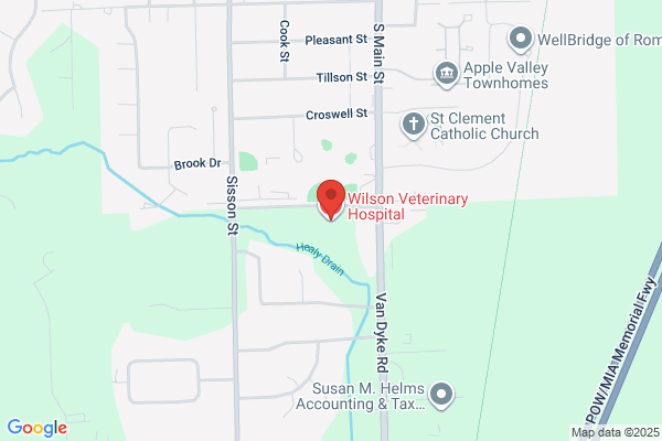 Wilson Veterinary Hospital