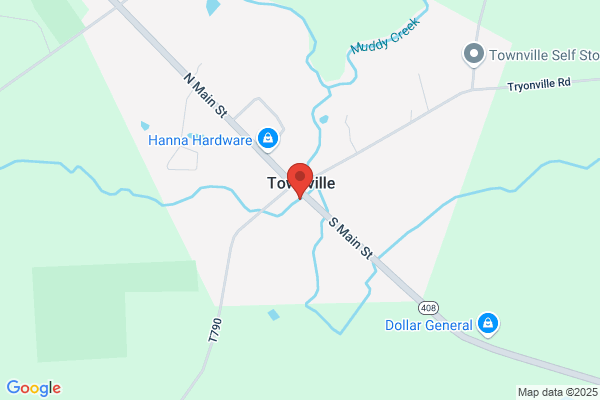 Townville Family Ties Restaurant & Dairy Aisle