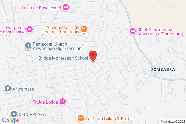 Bridges Montessori School