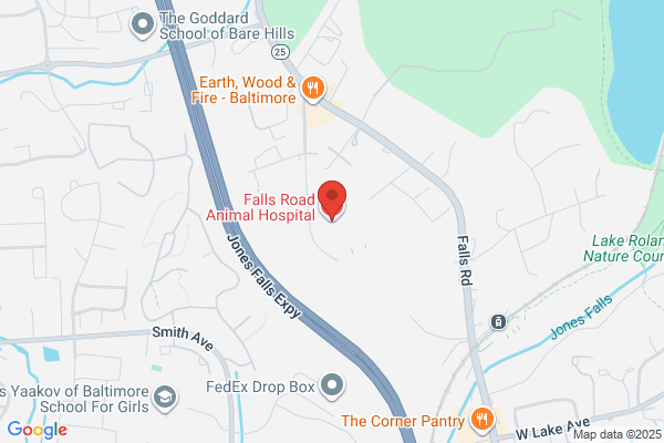Kim Hammond - Falls Road Animal Hospital