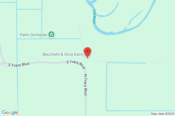Bacchetti & Silva Dairy