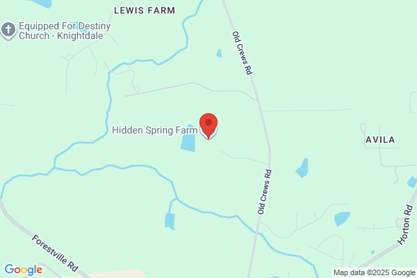 Hidden Springs Stable Llc