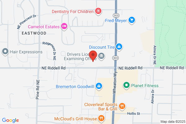 Hollywood Video