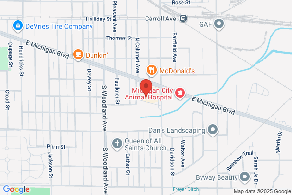Family Dollar Stores Inc
