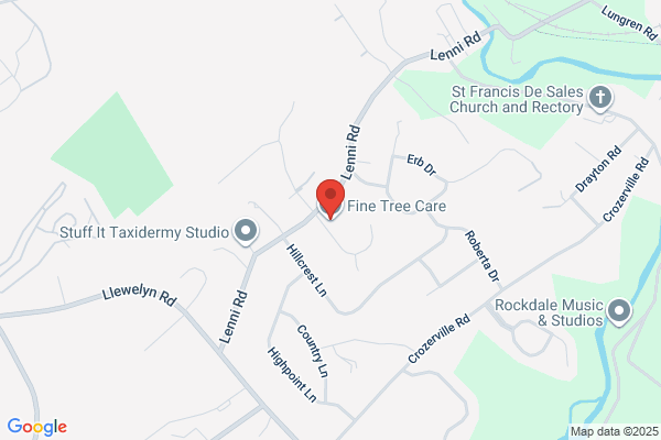 Stone Timothy D Fine Tree Care