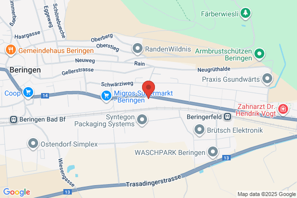 Schwaninger Electric