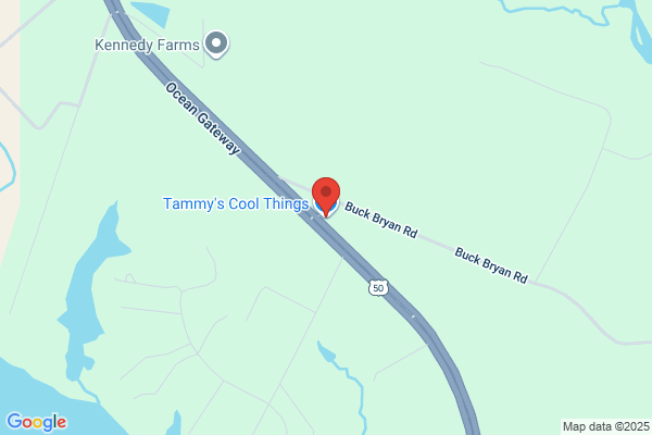 Tammy's Cool Things