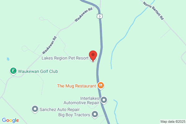 Long Lake Animal Pet Resort