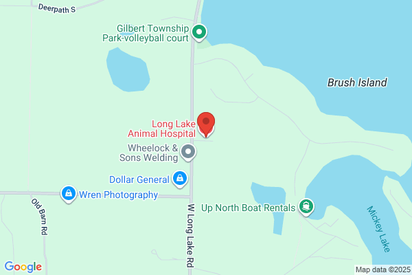 Long Lake Animal Hospital