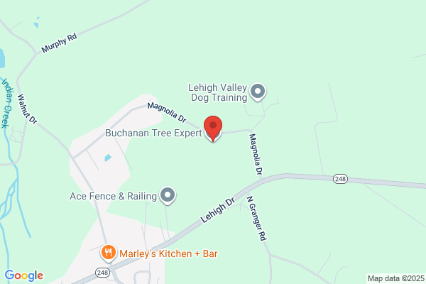 Buchanan Tree Expert LLC