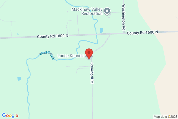 Lance Kennels
