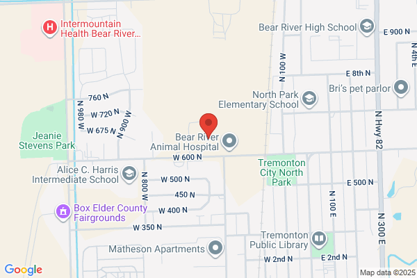 Bear River Mental Health Services
