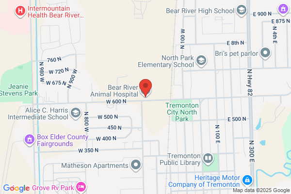 Bear River Animal Hospital
