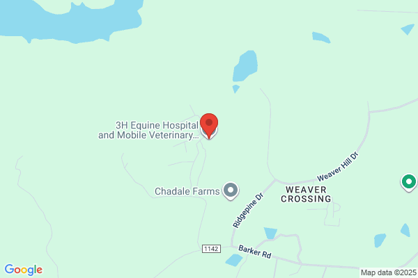 Equine Express Mobile Vet Service