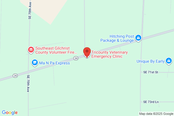 Tricounty Veterinary Emergency Clinic