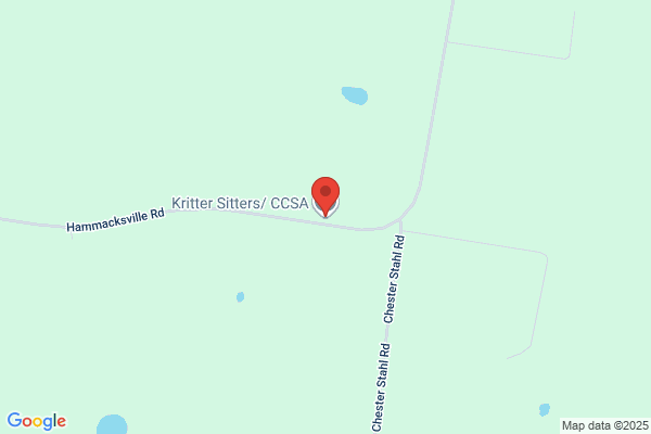 Kritter Sitters