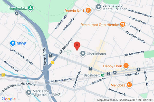 Orthopedic Specialists