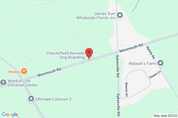 Chesterfield Kennels Dog Boarding