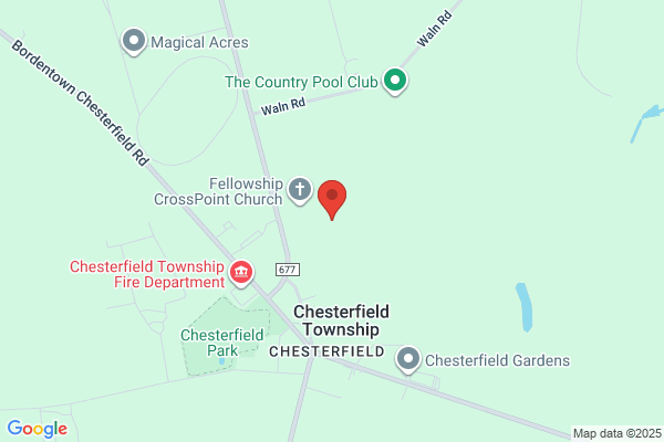 Chesterfield Christmas Trees