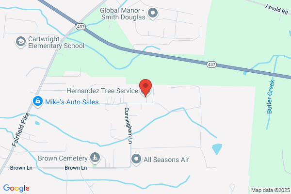 Hernandez & Sons Tree Service