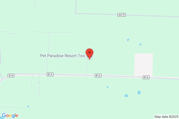 Pet Paradise Resort Too