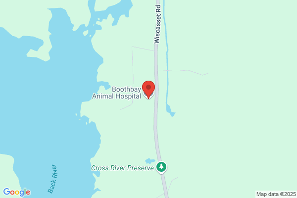 Boothbay Animal Hospital