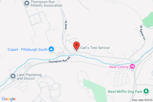 Carl's Tree Service
