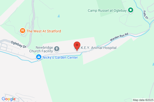 Key Animal Hospital Inc