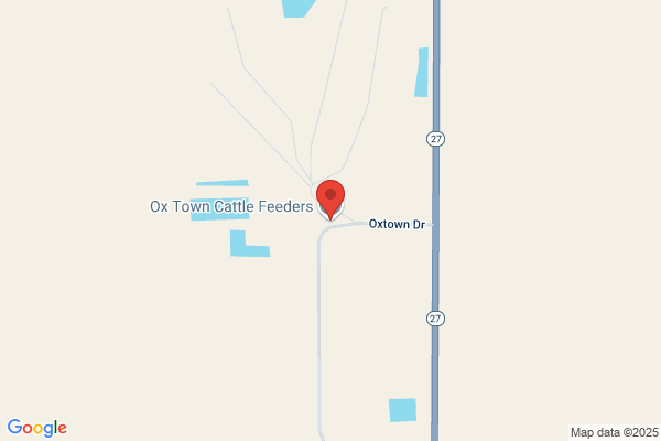 Ox Town Cattle Feeders Llc