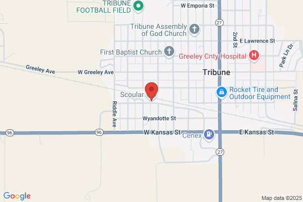 Tribune Grain Llc