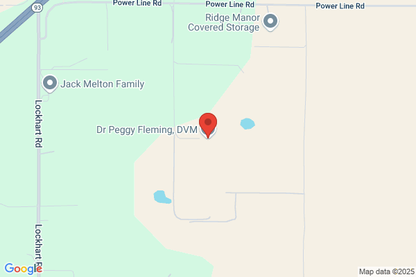 Fleming Peggy DVM