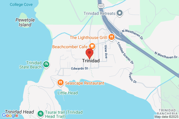 Trinidad Art