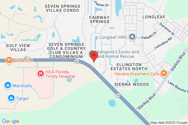Pasco Title LLC
