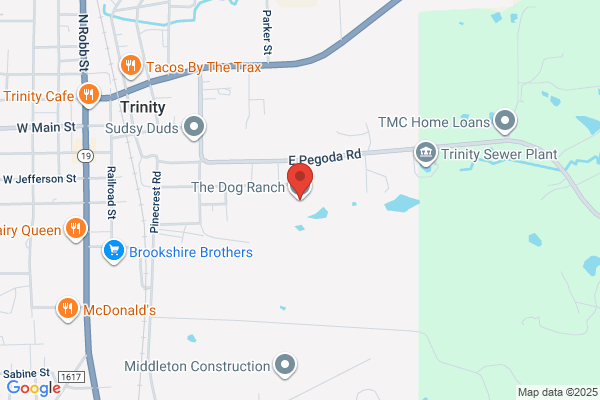 Dog Ranch the