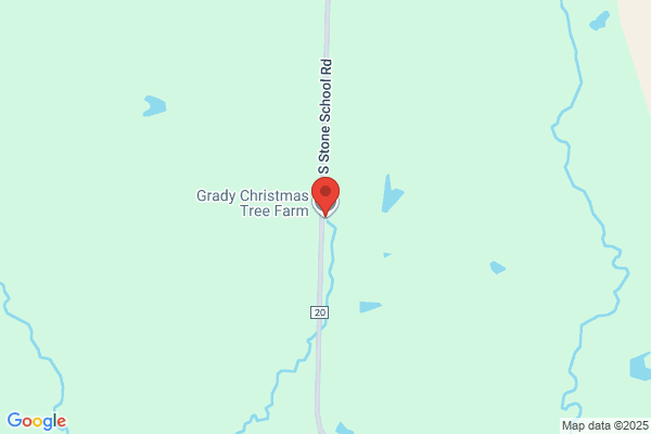 Grady Christmas Tree Farm