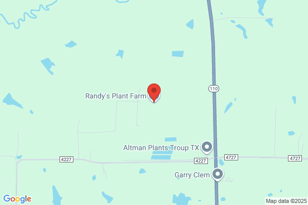 Randys Plant Farm