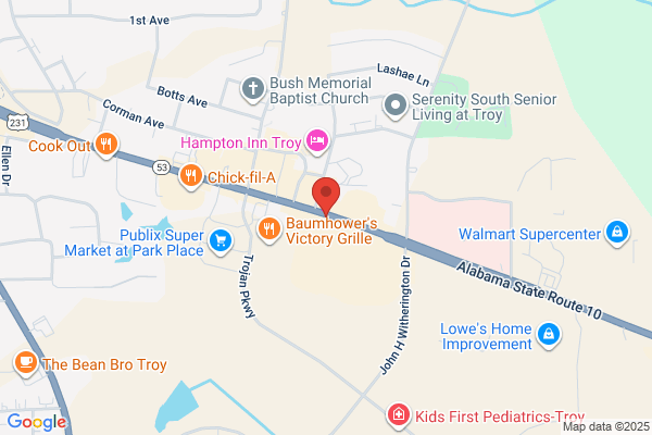 Troy Auto Parts Inc